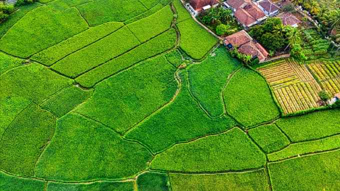 Century Sukanya Plots